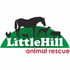 T.You To Our Recent Customers in Ireland . We donated to Little Hill Animal Rescue 