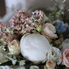 Blush Presentation Flowers